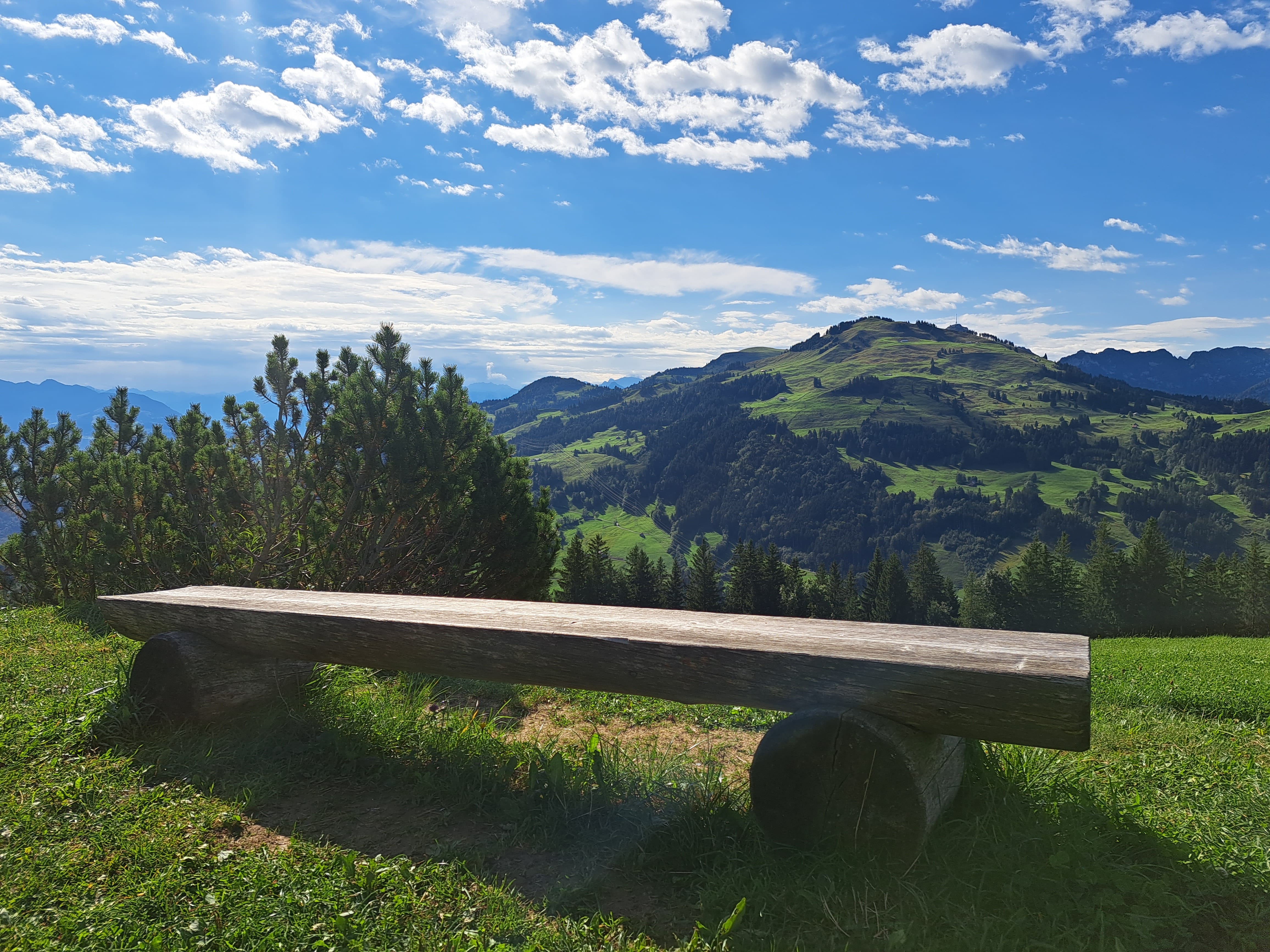 Scenic hilltop view on a sunny day, from behind a wooden bench